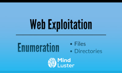 Web Enumeration – Files and Directories
