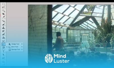 How to Brighten Image using Photoshop Dodge Tool