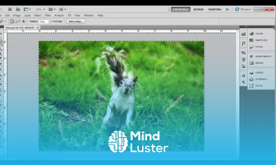 How to Blur Background in Photoshop CS5