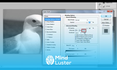 How to Make 3D Photo in Photoshop CS5