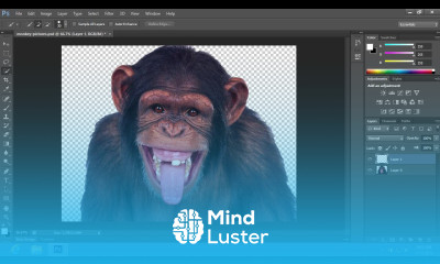 How to Change Background from Transparent to White in Photoshop CS6