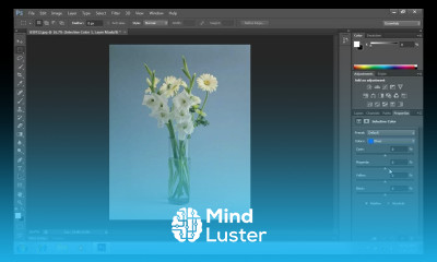 How to Use Selective Color in Photoshop CS6