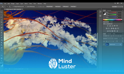 How to Use Zoom Tool in Photoshop CS6