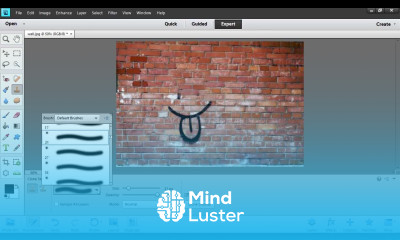 How to Use Photoshop Elements Clone Stamp Tool