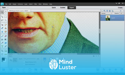 How to Use Photoshop Elements Blur Tool