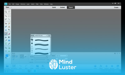 How to Install Brushes in Photoshop Elements