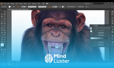 How to Resize Adobe Illustrator CS6 Image