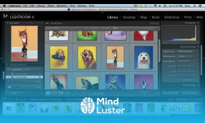 How to Sync Lightroom with iPhone