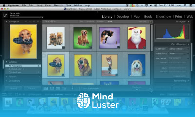 How to Export from Lightroom with Watermark