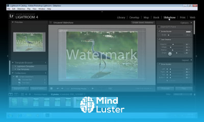 How to Delete Lightroom Watermark