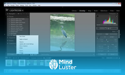 How to Lightroom Vintage