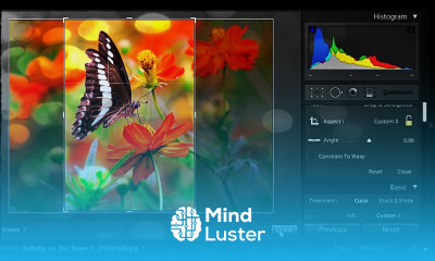 How to Use Lightroom 4 for Beginners