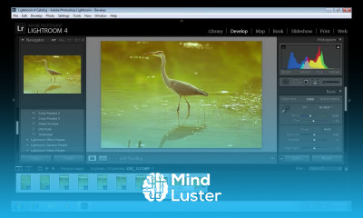 How to Apply Lightroom Preset to All Photos