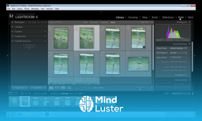 How to Save Lightroom Contact Sheet