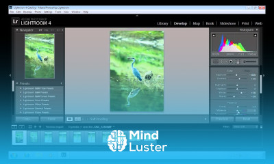How to Copy Lightroom Settings to Another Photo