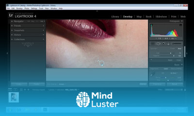 How to Remove Spots in Lightroom