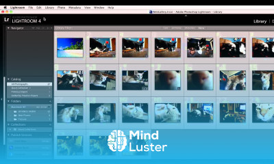 How to Make Lightroom Run Faster