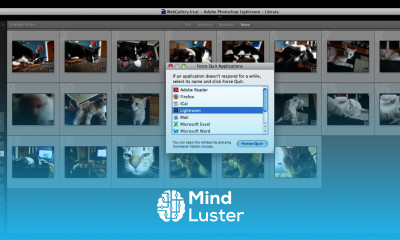 How to Force Quit Lightroom