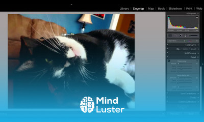 How to Turn Up the Contrast in an Image in Lightroom