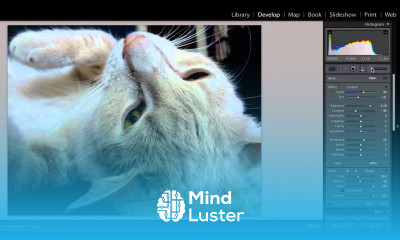 How to Brighten an Image in Lightroom