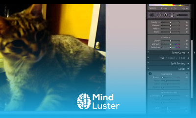 How to Use Lightroom Noise Reduction