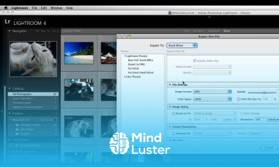 How to Convert RAW to JPEG in Lightroom