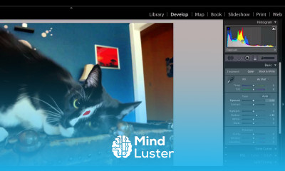 How to Read Lightroom Histogram