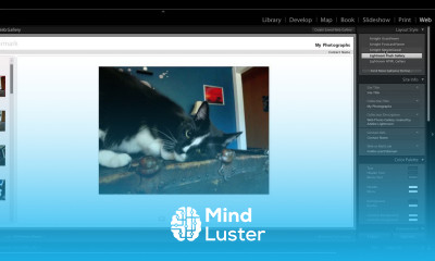 How to Lightroom Web Galleries