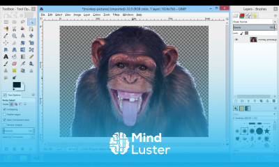How to Erase to Transparency in GIMP