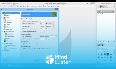 How to Put New Brushes in GIMP