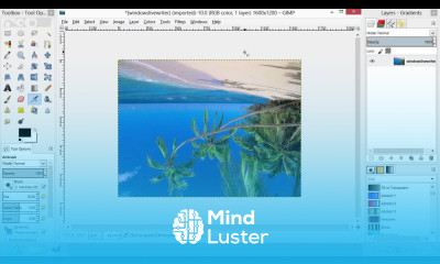 How to Flip Image in GIMP