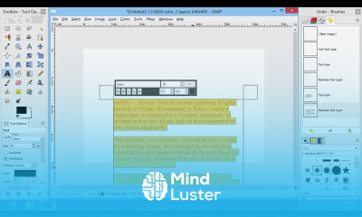 Learn How to Highlight Text in GIMP - Mind Luster