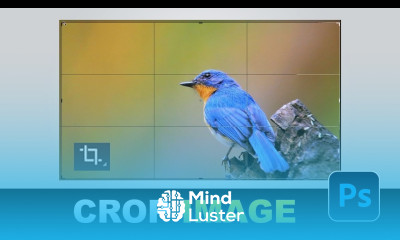 How to Crop Image in Photoshop