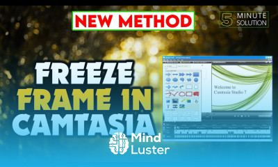 How to freeze frame in camtasia 2024