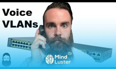 Voice VLANs What are they and why do we need them