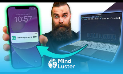 how did I NOT know about this