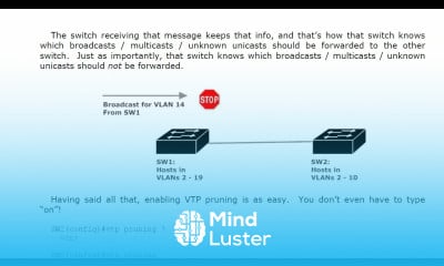 28 VTP 5 More Version Info VTP Pruning VTP THE VLAN TRUNKING PROTOCOL CISCO CNNP COURSE
