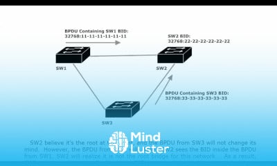 30 STP 2 Config BPDUs Root Bridge Election Walkthrough SPANNING TREE PROTOCOL CISCO CNNP