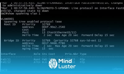 33 STP 5 Watch Your Speeds Plus Changing Path Cost Lab SPANNING TREE PROTOCOL CISCO CNNP