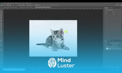 28 Frame Tool ADOBE PHOTOSHOP CC PROFESSIONAL COURSE FOR BEGINNER TO ADVANCE COURSE