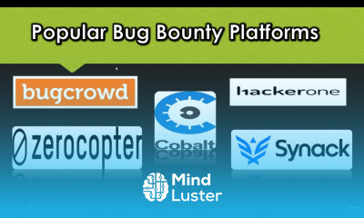 02 Popular Bug Bounty Platforms Bug Bounty Hunting Guide to an Advanced Earning Method