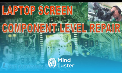 LER 044 Laptop LCD LED Screen Repair Back Lights OK but no picture