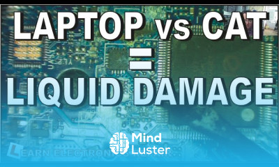 HP Pavilion 15 Laptop and CATS are not compatible Liquid Damage