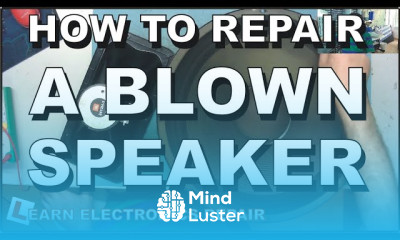 How To Repair A BLOWN Speaker English LER 104