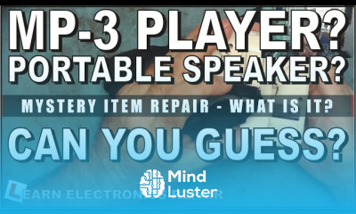 LER 214 Portable Speaker Repair Do you know what this thing actually is without googling it