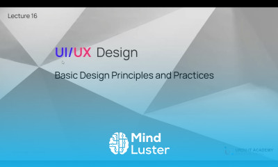 UI UX Design Lecture 16 Design Principles and Practices