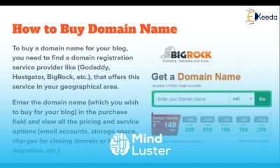 Snagging The Perfect Domain How To Make Sure You Get The Best Url For Your Business