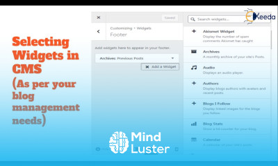 Find Your Perfect Widgets How To Choose The Right Ones For You