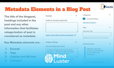 Unlocking Your Blog s Potential With Meta Data Management