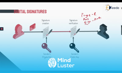 Learn About The Significance Of Digital Signatures